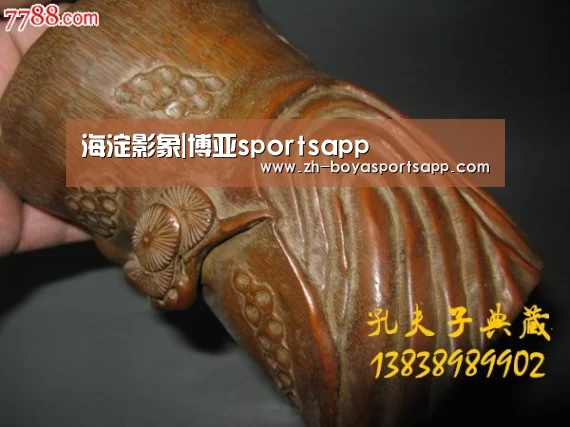 海淀影象|博亚sportsapp(图3) 博亚sportsapp