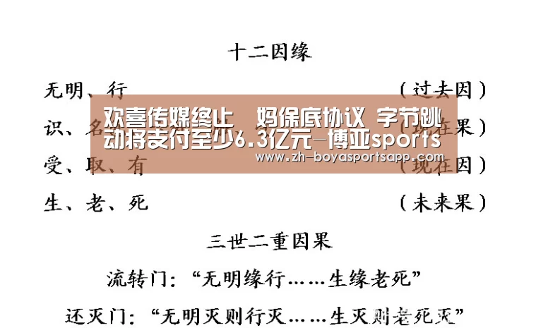 欢喜传媒终止囧妈保底协议 字节跳动将支付至少6.3亿元-博亚sportsapp