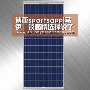 博亚sportsapp