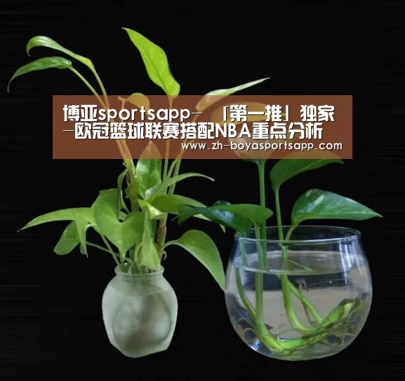 博亚sportsapp